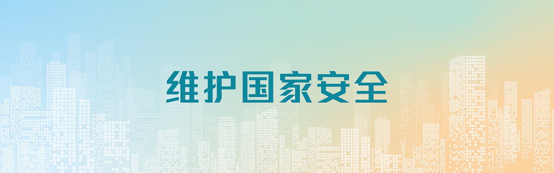 维护国家安全